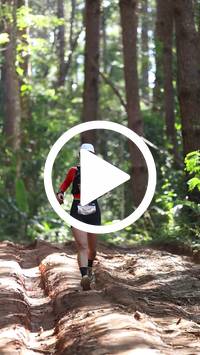 BIB:  <button type="button" onclick="openModal(26569519)" class="btn btn-primary btn-sm float-right" data-toggle="modal" data-target=".modal-high-quality">
                <i class="fa fa-download"></i> Download
                </button>